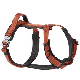 PawsPassion Dog Harness for Medium Dogs, Chew-Proof Metal Hardware, Easy Walk Dog Harness, Ergonomic Y-Shaped Design, Soft Padding, Padded Handle, Durable High-Tensile Nylon (Canyon Red, M)