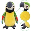 XiuLiFeiFei hengleTalking Parrot,Repeating Parrots, Repeating Talking Parrots, Talking Parrots, Electric