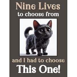 Black Cat Kitten funny flexible fridge magnet gift