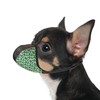 JOYPAWS Dog Muzzle for Extra Small Dogs Anti & Prevent