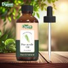 Organic Zing Pine Needle Essential Oil Pure & Natural for