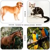 HoAoOo Pet Clicker for Dogs/Cats/Horses/Birds or Other Animals - Clickers