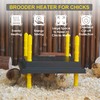 Eggluuz Chick Brooder Heating Plate, 12" x 12" Brooder Heater