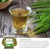 Herbalista Premium Loose Horsetail Tea (4 oz | 113g) |