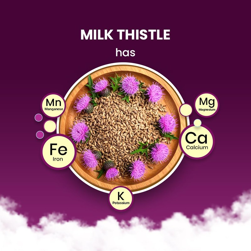 BLUE TEA - Milk Thistle Tea - 100 Count -