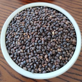 600+ Kong Xin CAI Seeds – Kangkong Vegetable Water Spinach for Planting, 1oz Non-GMO Asian Green Leaf Garden Choy Seeds