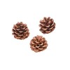 Natural Pine Cones 12Pc - Crafts for Kids and Fun