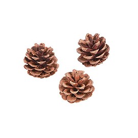 Natural Pine Cones 12Pc - Crafts for Kids and Fun Home Activities