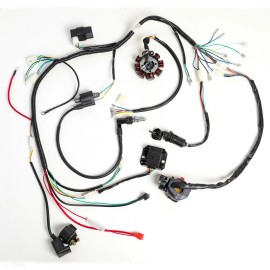 Unbranded Full Electrics Wiring Harness Magneto Stator 150 200 250cc ATV Quad Buggy GoKart