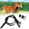 Herramienta para Caballos con Hebilla de Acero Inoxidable, para Correas