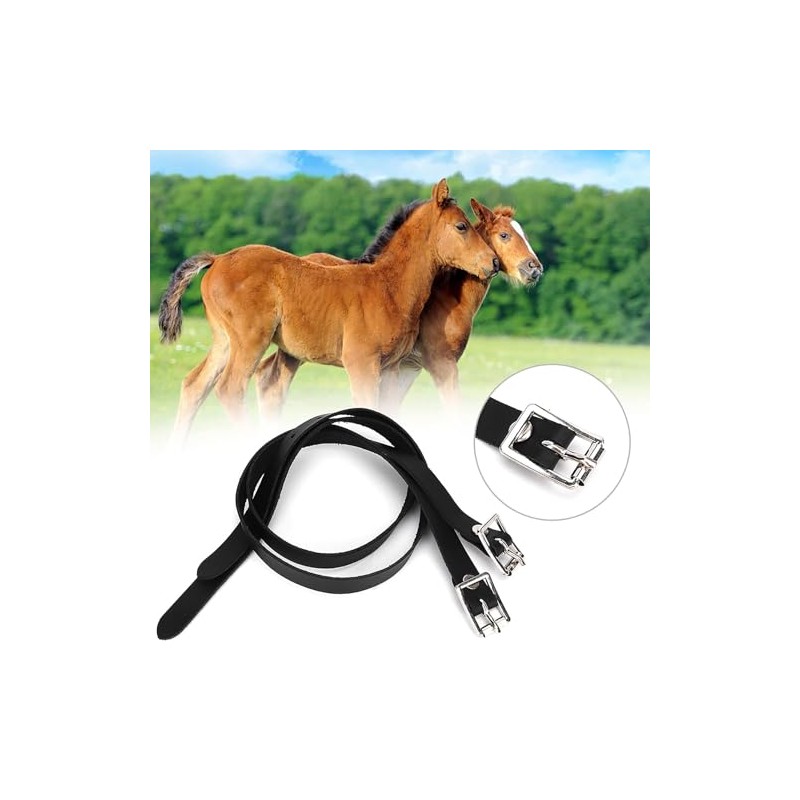 Herramienta para Caballos con Hebilla de Acero Inoxidable, para Correas
