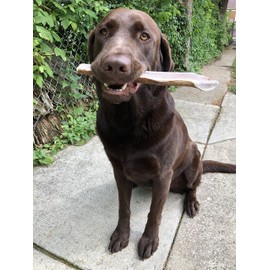 Perfect Pet Chews - Split Elk Antler Dog Chew - Grade A, All Natural, Organic, and Long Lasting Treats - Made from Naturally Shed Antlers in The USA (G. Mega - Dog Weight 100-110 Lbs, 2 - Pack)