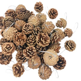 36 Pcs Christmas Pine Cones, 1.97 in Pinecones Ornaments with String for Crafting, Christmas, Thanksgiving, Autumn, Home Decorations, DIY Crafts and Gifts