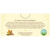 Celestial Seasonings Herbal Tea, Vermont Maple Ginger, Caffeine Free, 20
