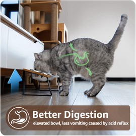 AYADA Elevated Cat Bowls, Height Adjustable Raised with Stand Lifted Ergonomic Anti Vomiting Non Slip Slanted Tilted Double Bowls Food Water Stainless Steel