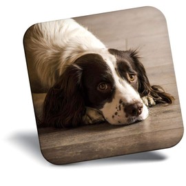Destination Vinyl ltd Fridge Magnet - Springer Spaniel Dog Puppy Animals 8725