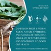 Teeccino Muestra de té de diente de león – Caramel,