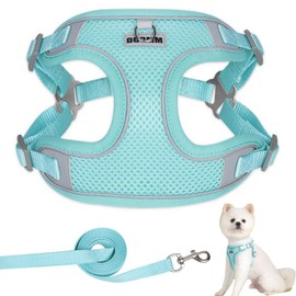 Dog Harness for Small Dogs Vest Style Dog Harnesses Breathable Dog Harness Reflective Harness Dog Small Adjustable Dog Harness Small Dog Accessories for Pets Green