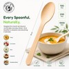 The Happy Garden Disposable Wooden Spoon, Pack of 100, 16