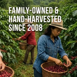 Don Memo Honduras Single-Origin Dark Roast Coffee Beans – Low Acid, Shade-Grown Arabica (Whole Bean, 12 oz) – Sustainably Farmed