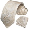 HISDERN Men's Tie Wedding Paisley Ties Handkerchief Flowers Elegant Classic