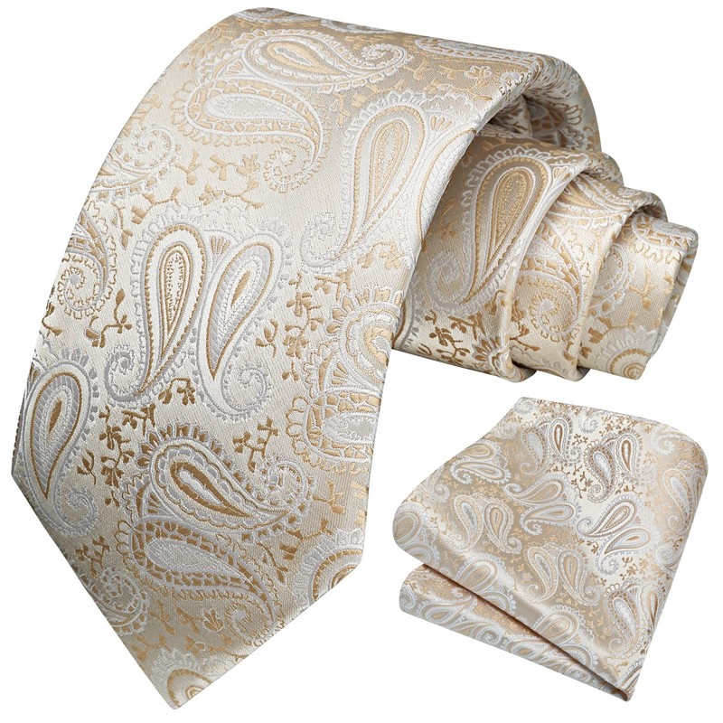 HISDERN Men's Tie Wedding Paisley Ties Handkerchief Flowers Elegant Classic