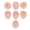 Modelo de Práctica de Perforación en Silicona para Oreja