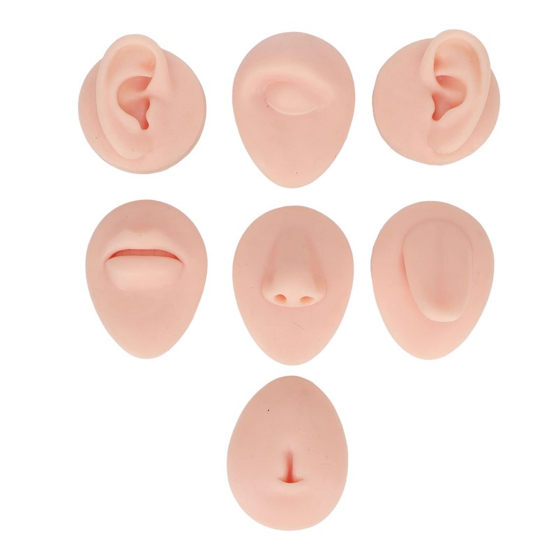 Modelo de Práctica de Perforación en Silicona para Oreja