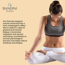 Bandini® Ashwagandha Complex KSM-66® High Strength with Rhodiola Rosea, Zinc, Vitamin E and B6 – High Dose Withania Somnifera – 60 Vegan Capsules – Boosts Energy & Mood - Natural Supplement, Non-GMO