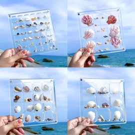 MUXIUNT Multi-Style Clear Acrylic Magnetic Seashell Display Collecting Box, Acrylic Shadow Box for Tiny Treasure Hunting Seashell Holder Display Grid Cabinet Case Box,Display Seashell Jewelry Crystal