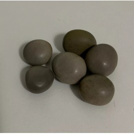 SEMILLA GUACALOTE (6) SHANGO CHANGO religion yoruba ifa orula santeria