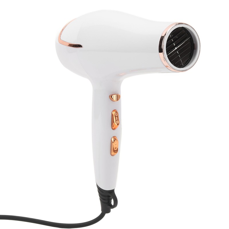 Electric Hair Dryer Adjust Temperature Wind Speed Blow Dryer Hair