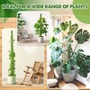 Duspro Green Stackable Mesh Moss Pole for Plants Climbing Vine