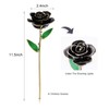 Long Stem Dipped 24k Gold Trim Red Rose In Gold