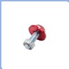 PARSLUCK 2pcs 6mm Thread Dia Red Hex Head Motorcycle License