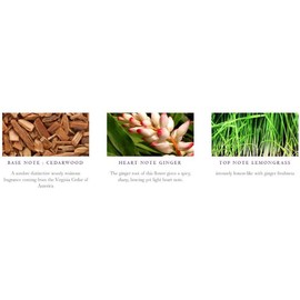 Julie Clarke Irish Scented Hand Poured Candle 100% Natural Vegan Wax Fine Porcelain Jar Malabar Lemongrass and Ginger 30 Hours Burn Time Made in Ireland Gift Home Decor