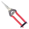 Harvesting tikamasa All Stainless Steel Scissor (for Round Blade) T-6