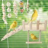 Hamiledyi 13Pcs Parrot Swing Chew Toys Bird Perches Platform with