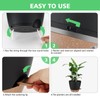 Self Watering Planter Set with Visual Water Level, 6Pack Small