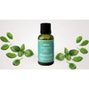 ACEITE ESENCIAL DE ALBAHACA BASIL 15ML