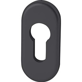 FSB 0 17 1757 00010 0810 Profile Cylinder Rosette PZ Oval Cylinder Rosette 32.5 x 70 x 7 mm Aluminium Matte Black Silver