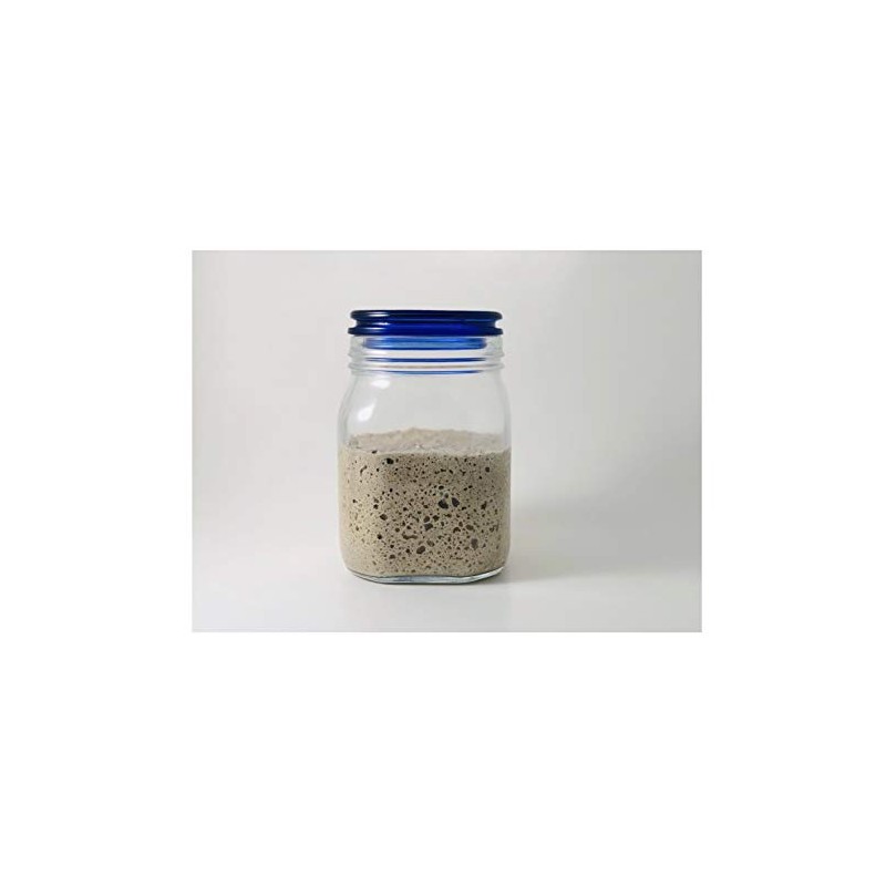 Irish Rye Sourdough Starter Culture Bread Yeast