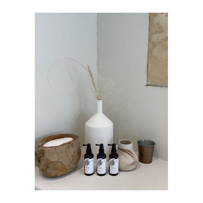 Sanyacho Picnic Scalp Grass Tonic 100ml x 2 / 산야초