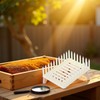 White Queen Marker Cage Clip Bee Plastic Catcher Beekeeper Beekeeping