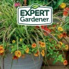 Expert Gardener Potting Mix for Potted Plants ( Choose Your