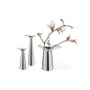 Zack 30641 Parego Vase with High Gloss, Height 6.7"/Diameter 3.35"