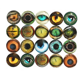 ZHU YU CHUN 20 Pcs Mixed Animals' Eye Printed Glass, Round Glass Cabochons for Jewelry Findings Cameo Pendant Making (40mm/1.5 inch)