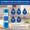 HQUA Whole House Compound Replacement Filter Cartridge, WF-GK20BB, Fit for