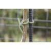 Takasho GST-01 Garden Soft Tie 0.1 inch (2.5 mm) x