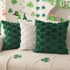 DFXSZ St Patricks Day Pillow Covers 18x18 inch Set of